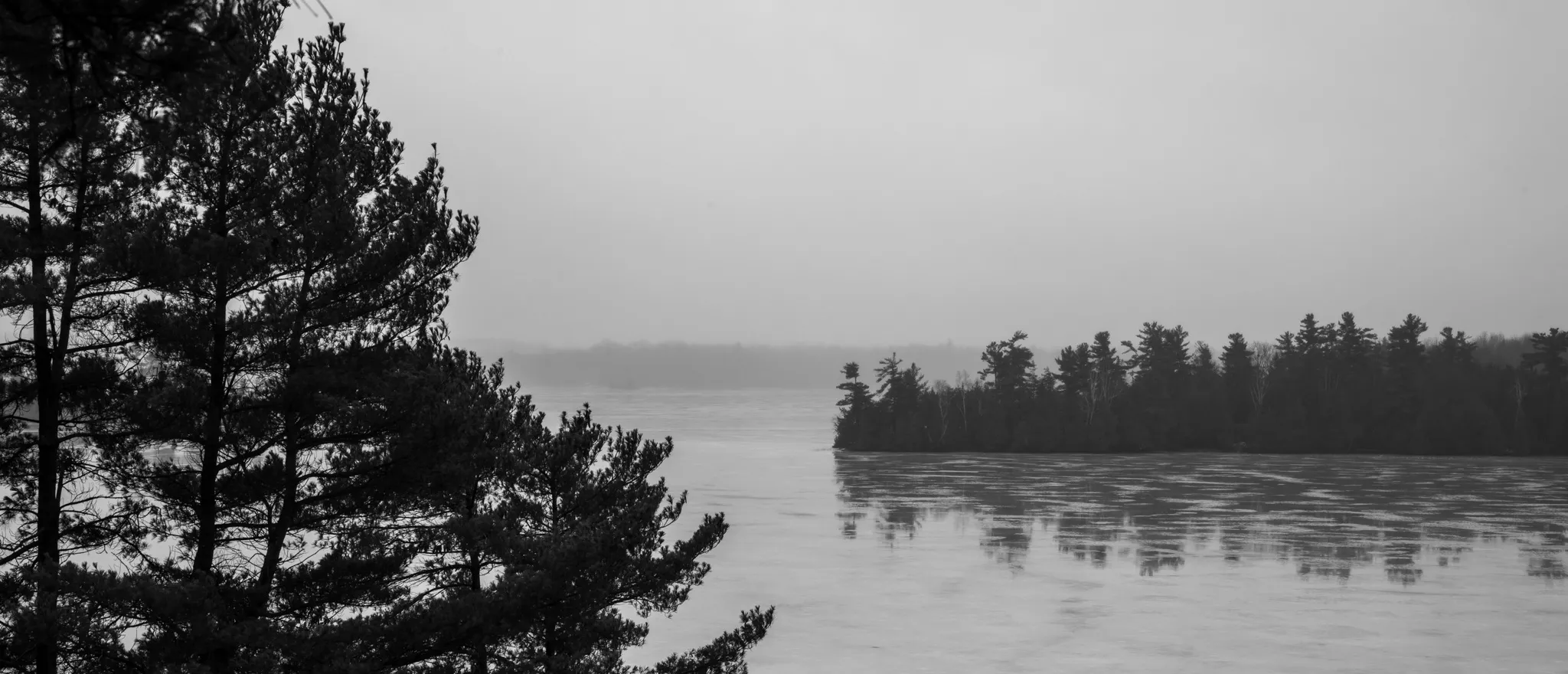 Foggy lake scene